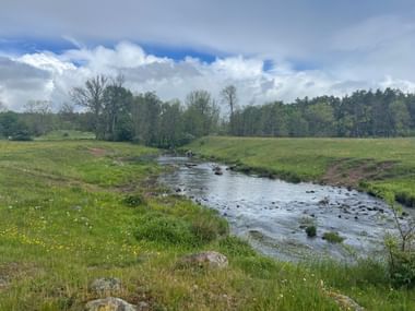 Flacher Bach fließt durch grüne Wiese mit gelben Wildblumen. Bäume säumen den Horizont unter teilweise bewölktem Himmel bei Brösarp.