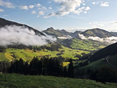 Grünes Tal im Naturpark Gruyère Pays-d'Enhaut mit verstreuten Bauernhöfen, bewaldeten Hängen und Berggipfeln, teilweise von Wolken bedeckt.