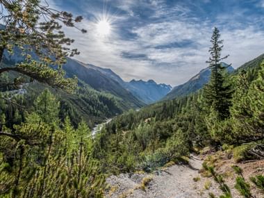 Val Cluozza Tal im Schweizerischen Nationalpark Panoramablick auf das Val Cluozza Tal mit dichtem Nadelwald, Berggipfeln und einem gewundenen Fluss unter hellem Sonnenlicht und bewölktem Himmel.