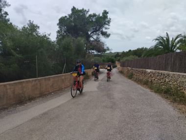 Drei Personen fahren mit ihren Velos auf einer Nebenstrasse in Mallorca. Auf beiden Seiten hat es eine Steinmauer umgeben von Bäumen.