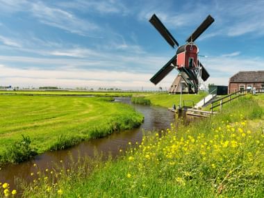 Rote Windmühle neben einem Bach und umgeben von Feldern