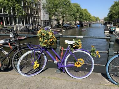 Sicht auf ein violettes, mit Blume geschmücktes Velo auf einer Kanalbrücke.