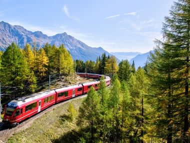 Un train rouge des Chemins de fer rhétiques traverse la forêt. En arrière-plan, un ciel bleu clair au-dessus des montagnes de l'Engadine.