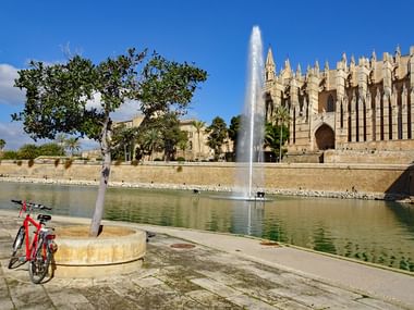 Rad vor Kathedrale in Palma