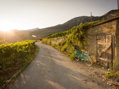 Ein Fahrrad steht neben einem Weg bei Sonnenuntergang