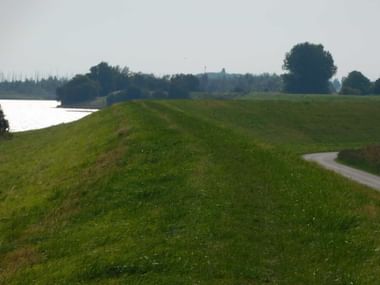 Sicht von einem Deich mit viel Grün und Wasser im Hintergrund.