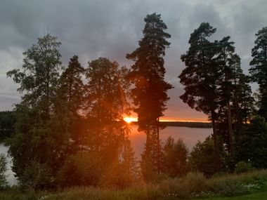 Sonnenuntergang durch hohe Kiefern im Bommersvik Hotel bei Stockholm. Orange Sonne leuchtet hinter dunklen Baumsilhouetten mit Blick auf einen See.