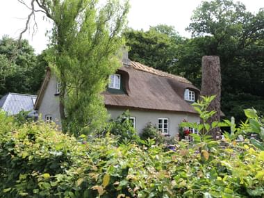 Traditionelles dänisches Reetdachhaus Weißes dänisches Haus mit dunklem Reetdach und Dachgauben, umgeben von üppiger grüner Vegetation und hohen Bäumen in der dänischen Seenplatte.