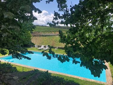 Türkisfarbener Pool umgeben von grüner Wiese und Sonnenliegen, eingerahmt von Weinblättern. Terrassierte Weinberge an Hängen im Hintergrund.