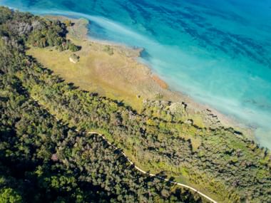 Luftaufnahme der Grande Cariçaie Feuchtgebiet-Halbinsel am Neuenburgersee mit dichtem Wald, Sumpfland und türkisfarbenem Wasser.