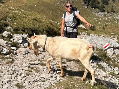 Wanderin mit Rucksack steht hinter einer beigen Ziege auf einem steinigen Weg am Gurnigelpass, mit Almwiesen und bewaldeten Hügeln.
