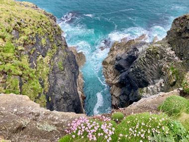 Luftaufnahme türkisfarbener Meereswellen zwischen steilen Felsklippen in Cornwall. Rosa Wildblumen blühen im Vordergrund auf grünem Gras.