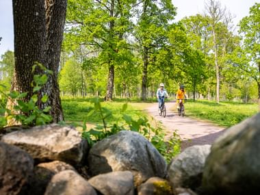 Zwei Radfahrer fahren auf einem baumgesäumten Weg im Borre Park bei Horten. Große Steine sind im Vordergrund mit üppigen grünen Bäumen sichtbar.
