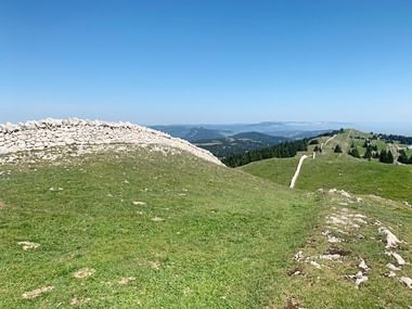 Sanfte grüne Hügel im Jura-Gebirge mit einer markanten Steinmauer entlang eines Kamms. Ein Wanderweg schlängelt sich durch die Landschaft.