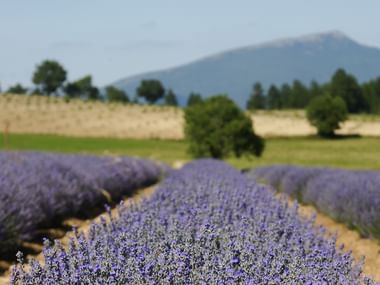 Radreise Provence