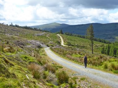 Wanderin geht auf Schotterweg durch Wicklow Mountains Landschaft mit grünen Hügeln, verstreuten Felsen und bewölktem Himmel.