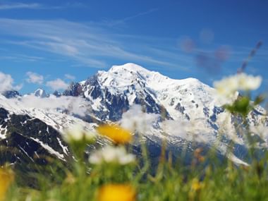 Der Mont Blanc