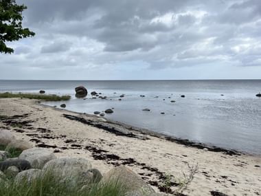 Sandstrand mit verstreuten Steinen und Seetang unter bewölktem Himmel. Ruhiges Wasser mit Steinen in der flachen Bucht, grünes Gras im Vordergrund.