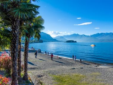 Vue pittoresque du Lac Majeur avec palmiers au premier plan, personnes sur plage de galets, eau bleue du lac, montagnes en arrière-plan.