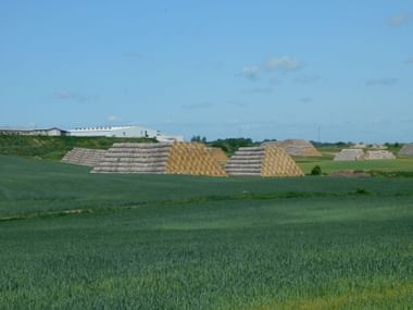 Heuballen auf einem Feld