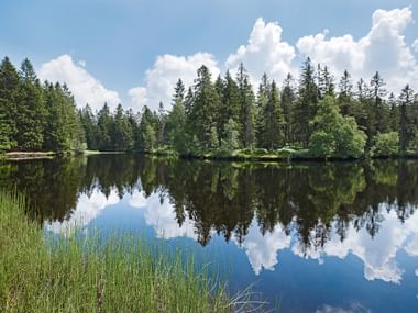Ruhiger Waldsee mit perfekten Spiegelungen Ruhiger See umgeben von dichtem Nadelwald, mit perfekten Spiegelungen der Bäume und weißen Wolken im stillen Wasser.