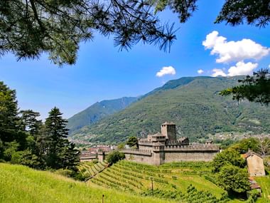 Forteresse médiévale à Bellinzona, Tessin avec murs de pierre et tour, entourée de vignobles en terrasses et montagnes vertes sous ciel bleu.