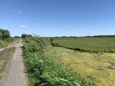 Fahrradweg mit Wasser und Felder auf der rechten Seite.
