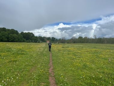 Wanderer mit Rucksack auf schmalem Pfad durch gelbe Wildblumenwiese bei Brösarp. Bäume und Bauernhaus unter bewölktem Himmel sichtbar.