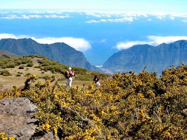 Höhenwanderung in der Gruppe auf Madeira