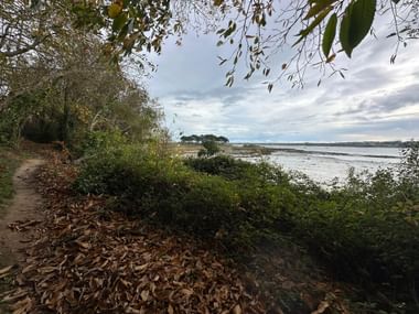Küstenpfad in der Bretagne bedeckt mit Herbstlaub, gesäumt von grüner Vegetation. Der Weg überblickt eine Gezeitenmündung unter bewölktem Himmel.