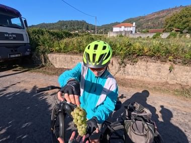 Radfahrer in türkisfarbener Jacke und gelbem Helm hält frische grüne Trauben auf einer Landstraße bei Ponte de Lima, mit Weinberg und Hügeln im Hintergrund.
