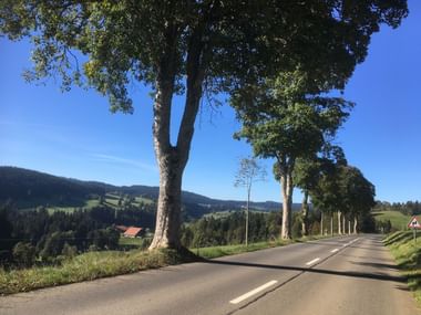 Zulauf-Juraroute-Unterwegs-7