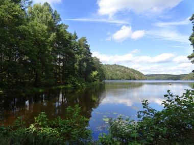 Ruhiger See umgeben von dichtem grünen Wald unter blauem Himmel mit weißen Wolken. Wasser spiegelt Bäume und Himmel, bewaldete Hügel in der Ferne.