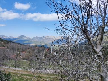 Waldlandschaft im Vordergrund mit weisser Moschee zwischen den Bäumen und Bergen im Hintergrund