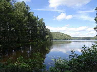 Ruhiger See umgeben von dichtem grünem Wald unter blauem Himmel mit weißen Wolken. Bäume spiegeln sich im stillen Wasser, bewaldete Hügel in der Ferne.