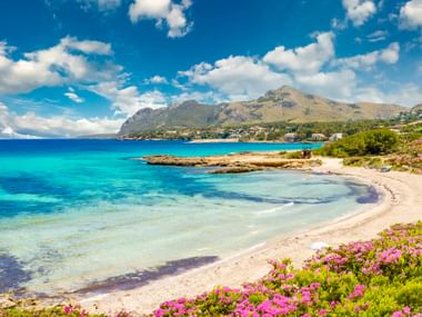 Malerischer Strand Platja de San Pere bei Alcudia mit türkisfarbenem Wasser, weißem Sand, rosa Blumen und Bergen unter blauem Himmel.