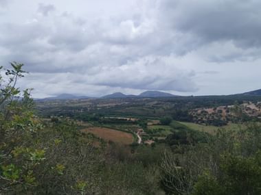 Blick über Felder, Wälder und Hügel in Mallorca.