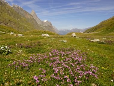 Heidi erlebt unberührte Natur beim Wandern auf der Tour du Mont Blanc West.