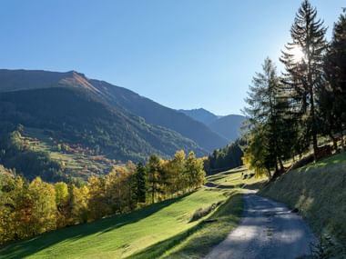 Naturstrasse zwischen grünen Wiesenlandschaften, die zu den schönen Bergen führt.