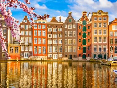 Rangée de maisons de canal historiques colorées à Amsterdam reflétées dans l'eau, avec des cerisiers roses au premier plan et des bateaux amarrés.