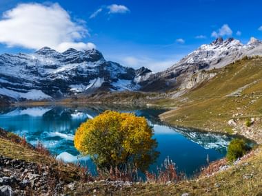 Salanfe-See mit Herbstbaum und Alpen Der Salanfe-See spiegelt schneebedeckte Alpengipfel unter blauem Himmel wider. Ein goldener Herbstbaum steht markant am Ufer mit felsigen Hängen.