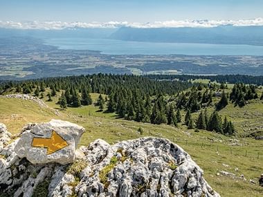 Fels mit Pfeil, im Hintergrund der Genfersee und die Alpen