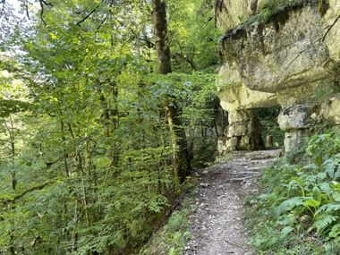 Eine Stimmung wie im Märchenwald!