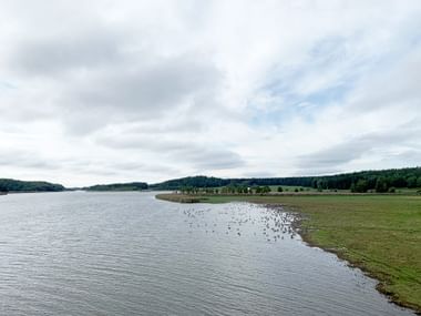 Breiter See mit ruhigem Wasser und grünem Ufer. Bewaldete Hügel im Hintergrund unter bewölktem Himmel. Vögel am Ufer versammelt.