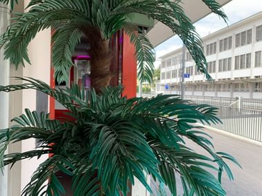 Künstliche Palme neben einem Gebäude