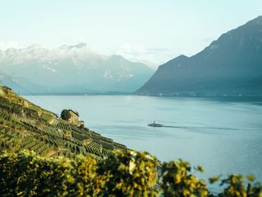Vignobles en terrasses surplombant le lac Léman avec un bateau à vapeur sur l'eau. Les Alpes enneigées se dressent en arrière-plan.