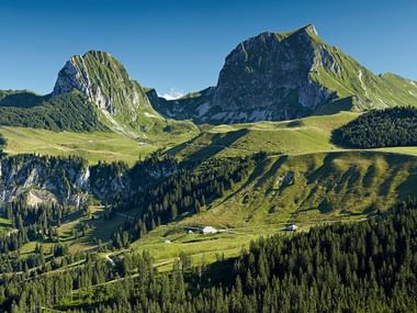 Sicht auf Berge und einen Wald in Gantrisch. Drei-Pärke-Tour. Wanderferien mit Eurotrek