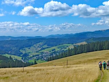 Beeindruckende Landschaft im Schwarzwald
