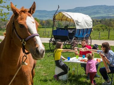 Eine vier Köpfige Familie sitzt auf der Wiese, an einem Quadratischen Tisch und macht Picknick. Das Pferd steht daneben und der Planwagen im Hintergrund. Planwagenferien mit Eurotrek.