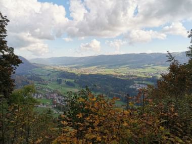Der Blick durch die Blätter von herbstlich geschmückten Bäumen. Aussicht auf ein Schweizer Tal.